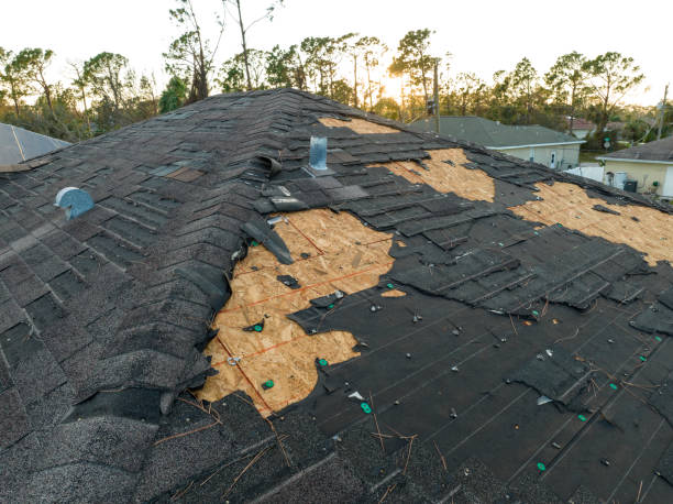 Best Roof Installation  in Livingston, MT